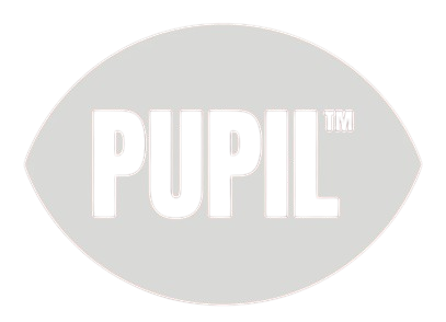 Pupil